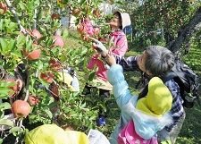 保育園児の力で高齢者の引きこもりを防ぐ！「ほっこりふれあい食事プロジェクト」を全国へ