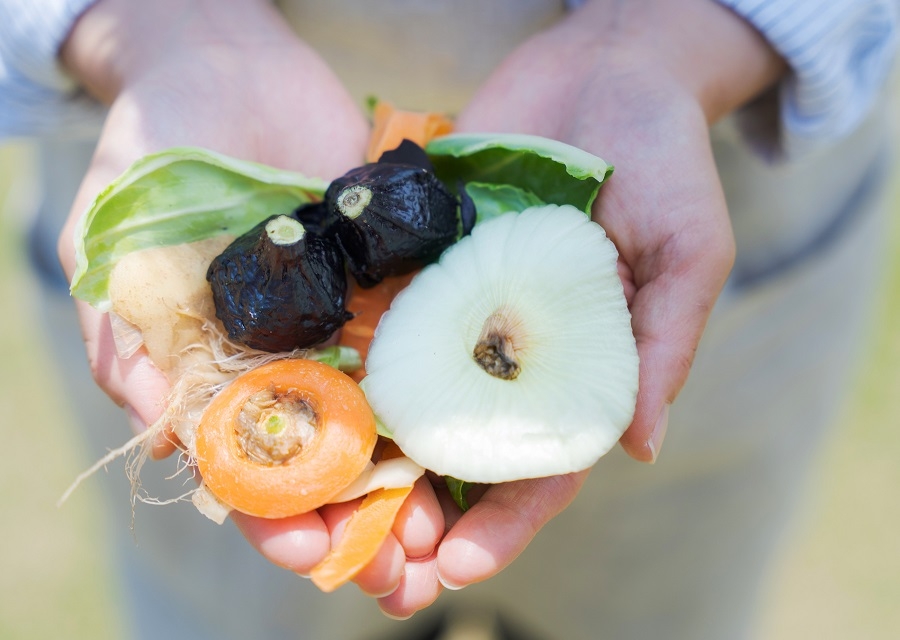 なんとなく「もったいない」は、もう卒業。私たちがロス削減のために担うべき役割